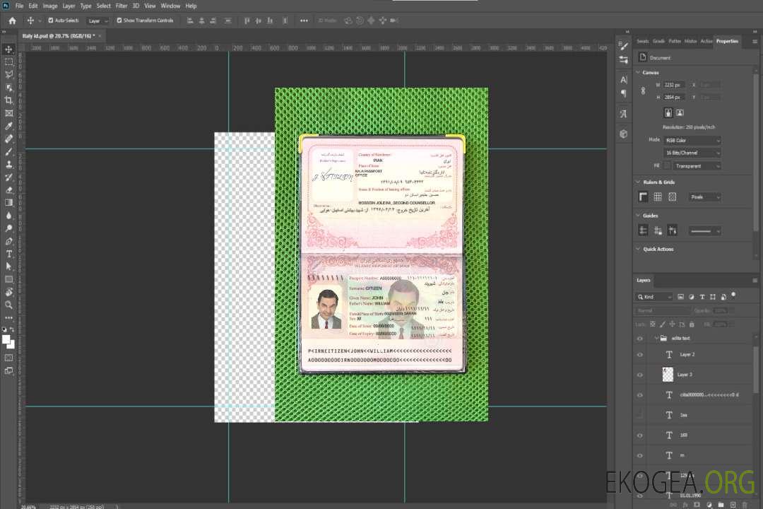 Aperçu photo du passeport iranien (2007-2014) template